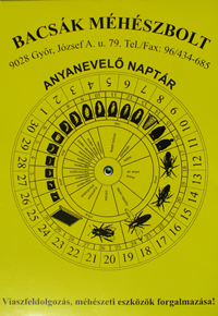 Anyanevelő naptár